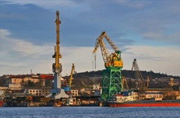 Nga yêu cầu Tổng thống Ukraine từ bỏ quyền sở hữu nhà máy đóng tàu ở Crimea 